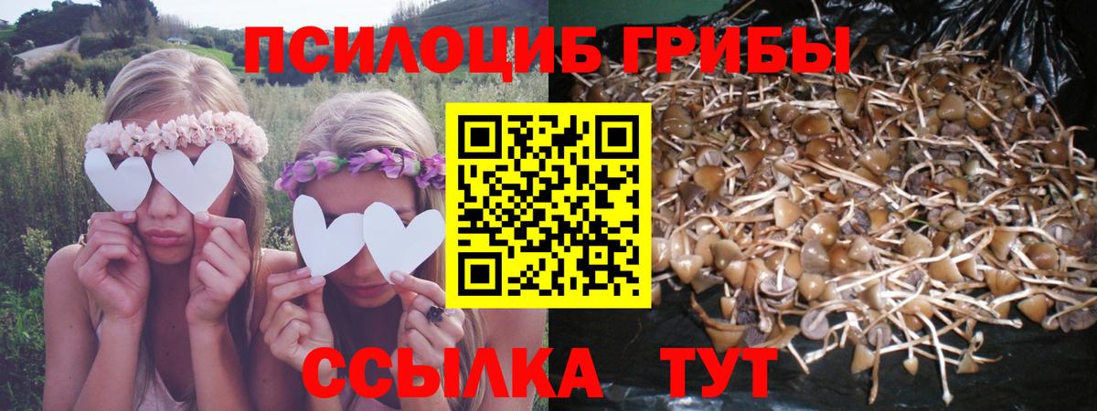 Амурск  Псилоцибиновые грибы мицелий  Вход с VPN 