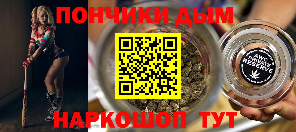 Конопля сатива Амурск